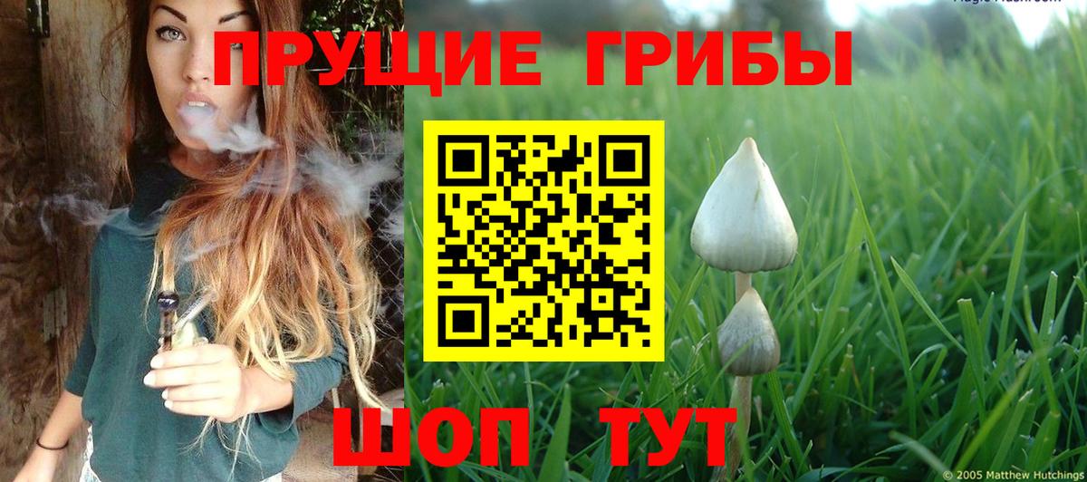 Галлюциногенные грибы мухоморы  Галлюциногенные грибы Psilocybine cubensis  Волоколамск  Вход с VPN 