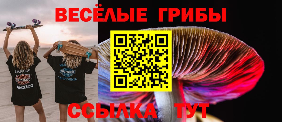 Галлюциногенные грибы прущие грибы Волоколамск
